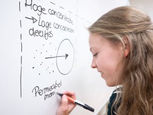 Docent schrijft uitleg op het bord biologie examentraining SSL