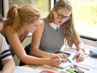 De Leidse Examentraining